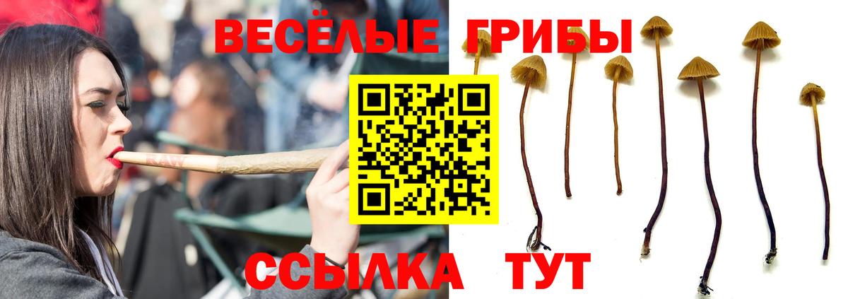 купить наркотик  Вход с VPN  Жигулёвск  Галлюциногенные грибы Cubensis  Галлюциногенные грибы Cubensis 